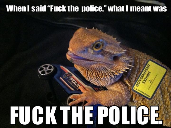 A lizard meme updated after the first version was entered into evidence 