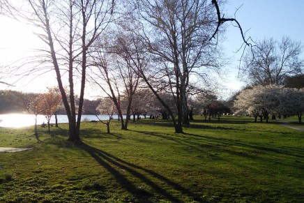 City Paper Longread: “A Bitter&nbsp;End”