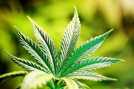 Kenney’s new bill would make small amounts of pot possession a civil&nbsp;offense